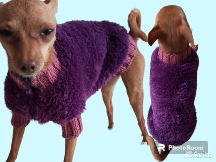 Одежда для маленьких собак