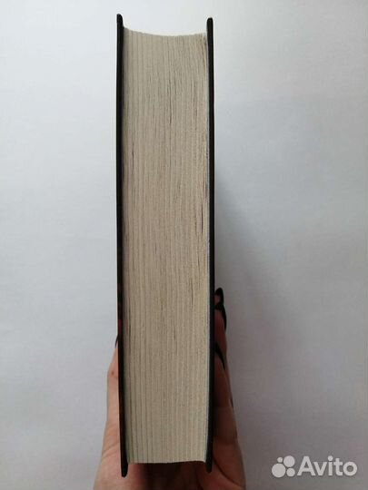 Книга - Эхо поющих песков