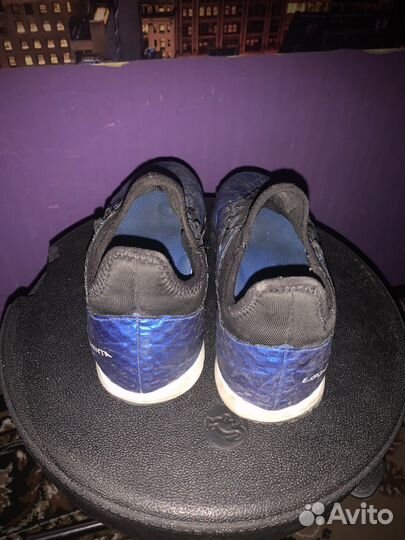 Сороконожки demix