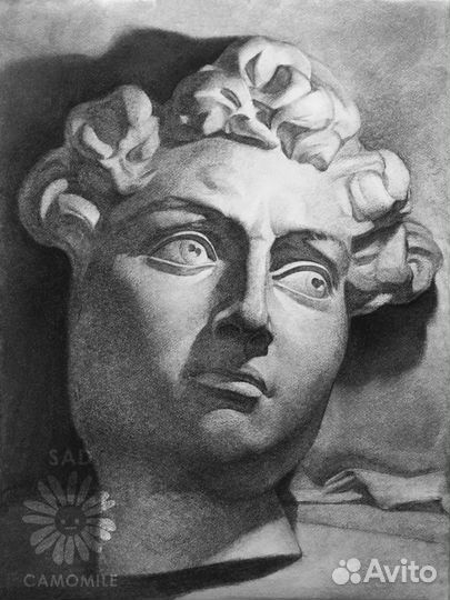 Академический рисунок и Портрет