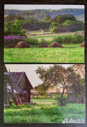 Открытки для посткроссинга худ Т.Черных Белоруссия