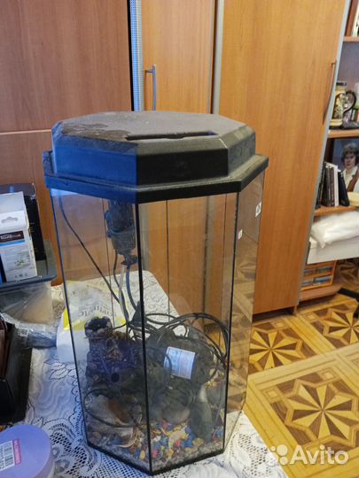 Аквариум