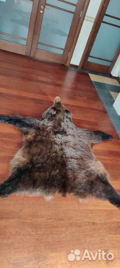 Шкура медведя имитация