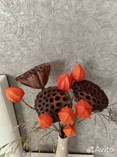 Коробочки лотоса и физалис