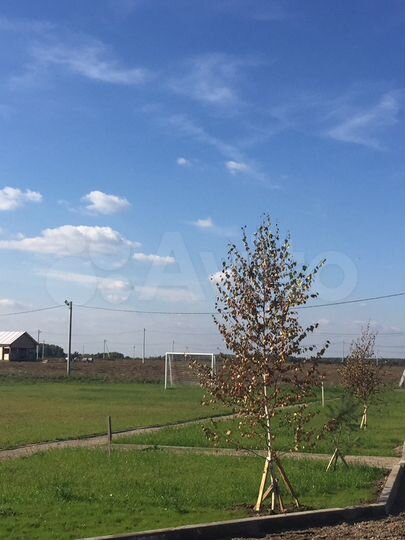 Участок 10 сот. (СНТ, ДНП)