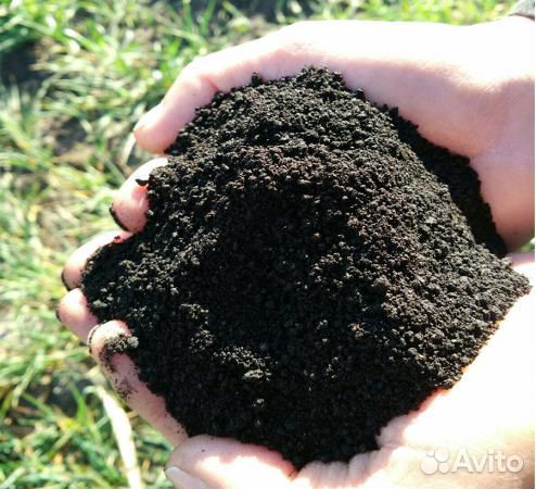 Чернозем Торф