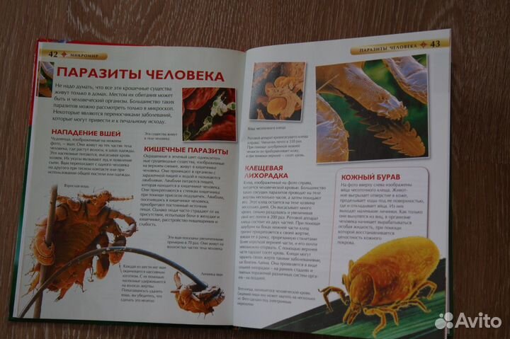 Энциклопедия микромир