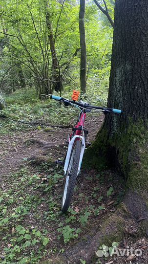 Велосипед stern mira 1.0 alt 26