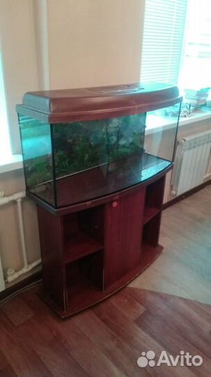 Выпуклый аквариум с тумбой 100л