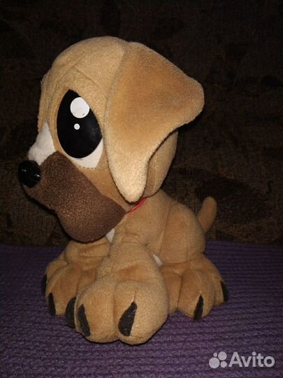 Собака Pawphans