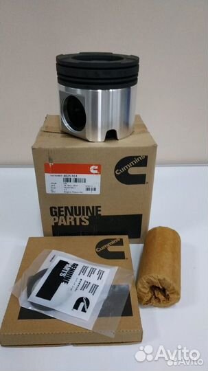 Поршень (в сборе) Cummins QSM11 ISM11