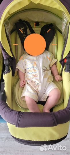 Коляска zippy 2 в 1