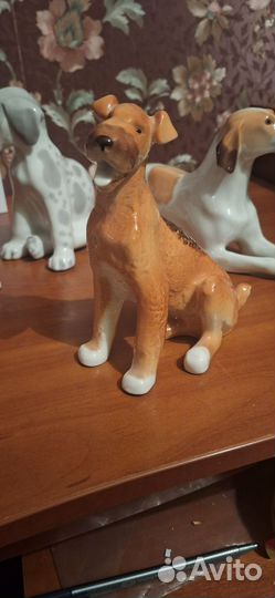 Фарфоровые статуэтки СССР собаки лфз