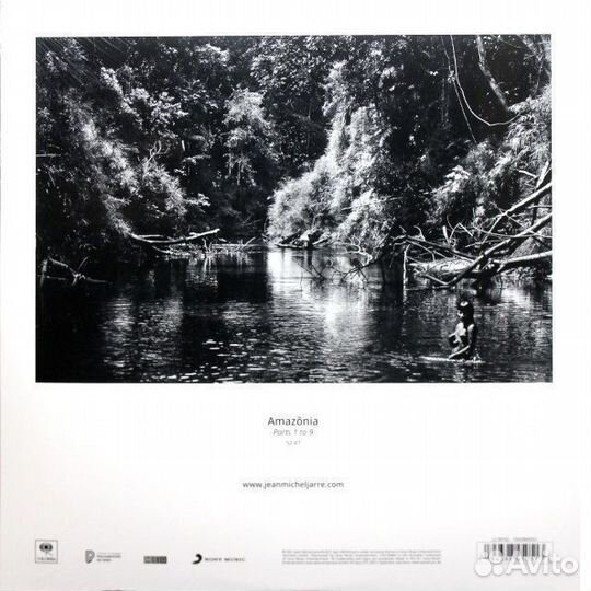 Jarre, jean-michele - amazonia (2LP)