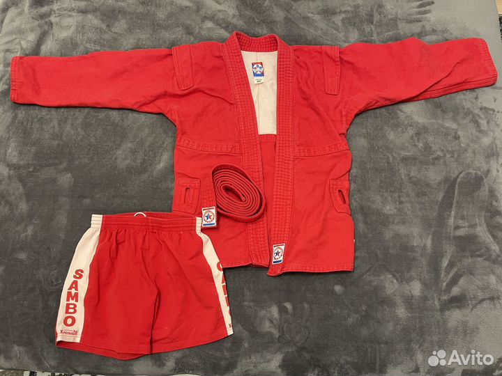 Самбовка крепышя