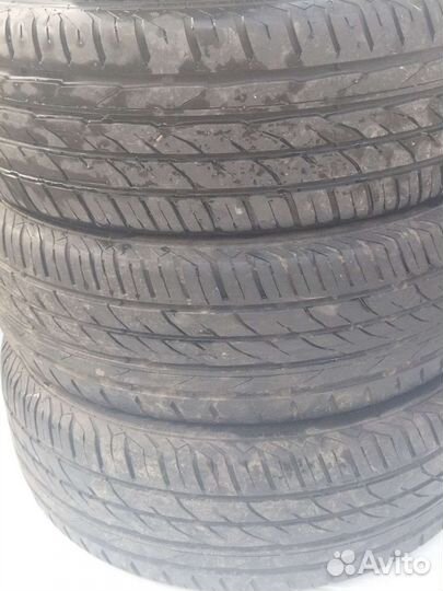 Matador MP 47 Hectorra 3 195/55 R16 H