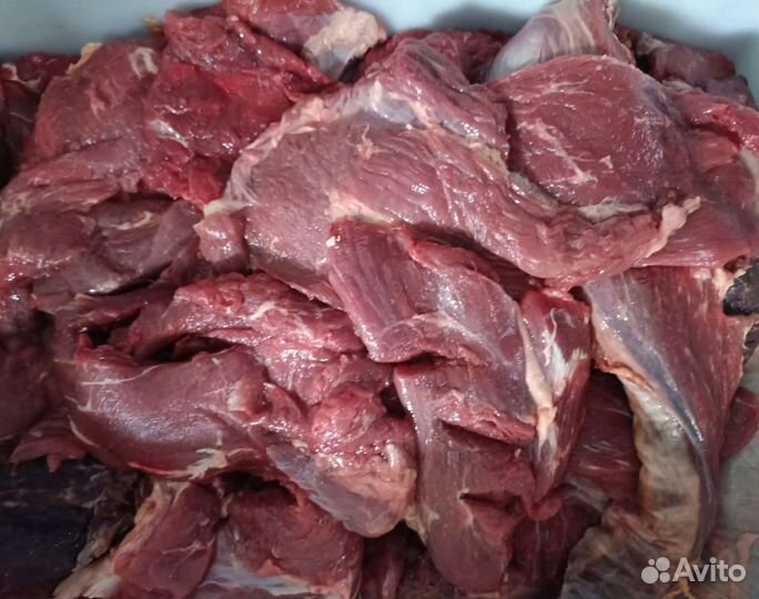 Мясо говядины