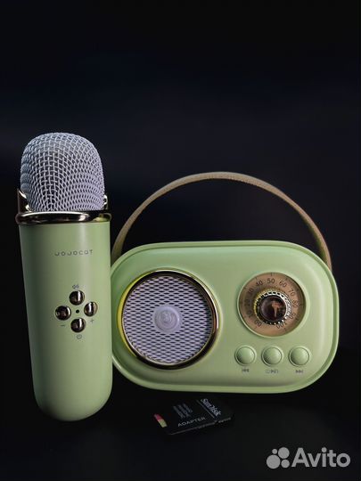 Блютуз колонка караоке 6 голосов jojocat оригинал