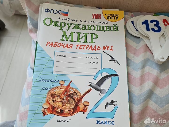 Тетради рабочие окружающий мир