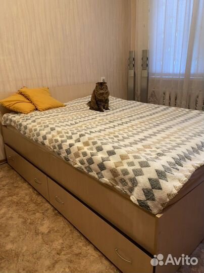 Плед покрывало