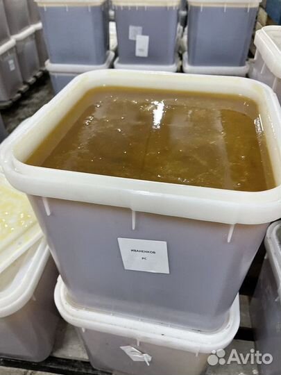 Мёд свежий оптом. Эспарцет, качка 2023г