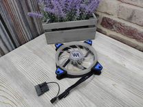 Вентилятор windmaster Lap Blue, 120мм, 3pin + Mole