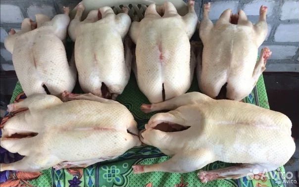 Мясо гуся, Гусиный набор