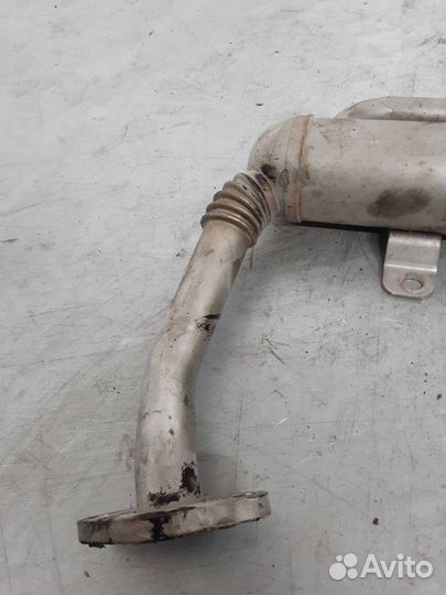 Радиатор EGR Volkswagen Golf Plus 2008 03G131512