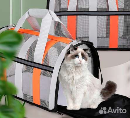 Переноска для животных, которая дышит