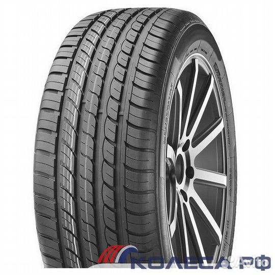 Compasal Smacher 225/55 R16 99W