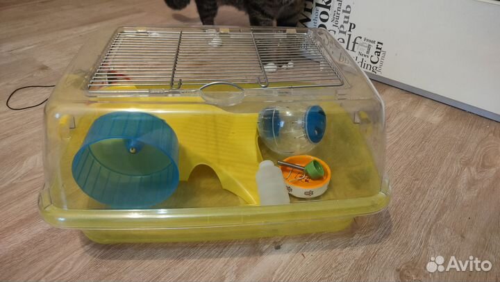 Клетка для джунгарского хомяка