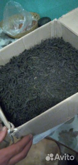 Иван чай ферментированный