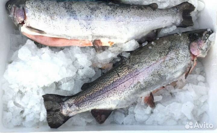 Икра, форель, сёмга