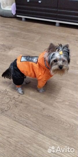 Комбинезон зимний, для собак мелких пород s