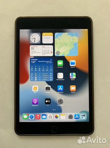 iPad mini 4 cellular