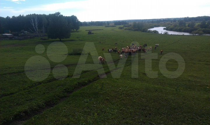 Участок 200 га (СНТ, ДНП)