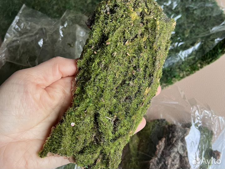 Мох пакетом