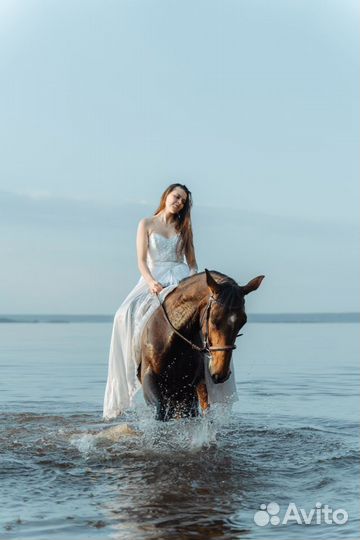 Профессиональная фото и видеосъемка