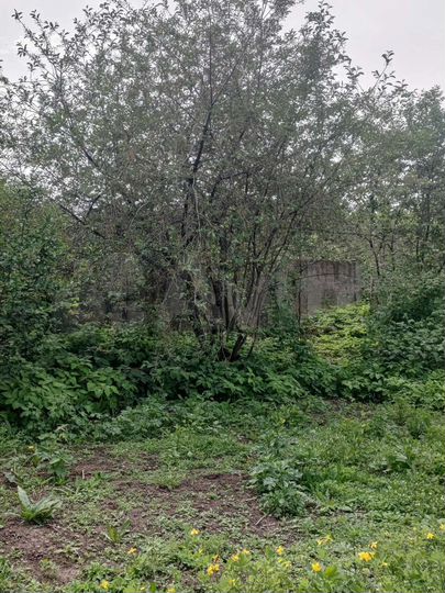 Дом 20 м² на участке 4 сот.