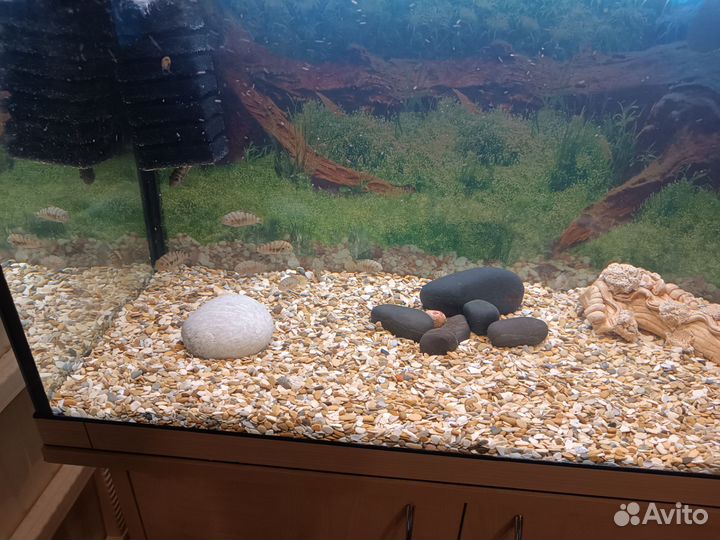 Аквариум 100л с тумбой