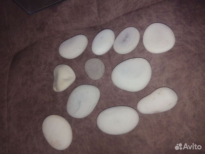 Аквариум для черепах