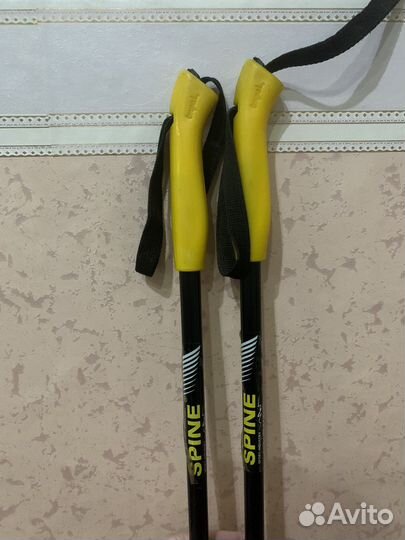 Лыжные палки spine 147-148 см