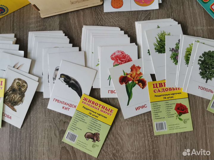 Развивашки детские 2-4 года