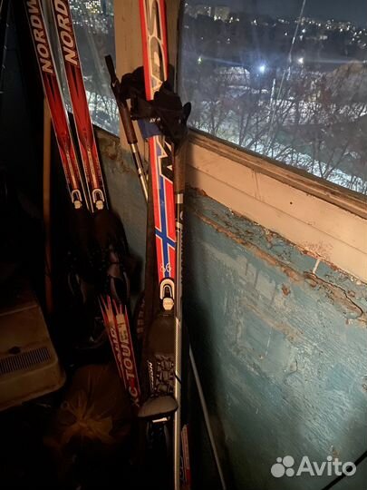 Беговые лыжи