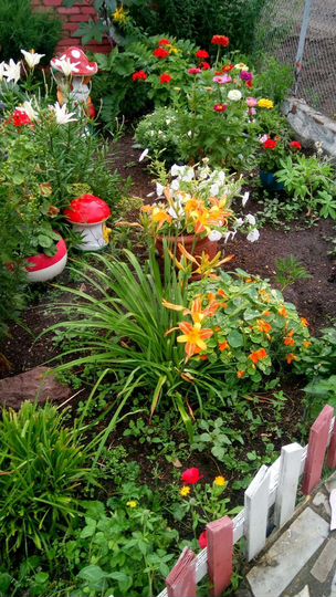 Дача 39,2 м² на участке 6 сот.