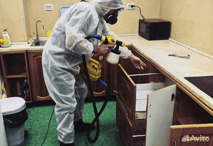 Уничтожение клопов тараканов грибка плесени