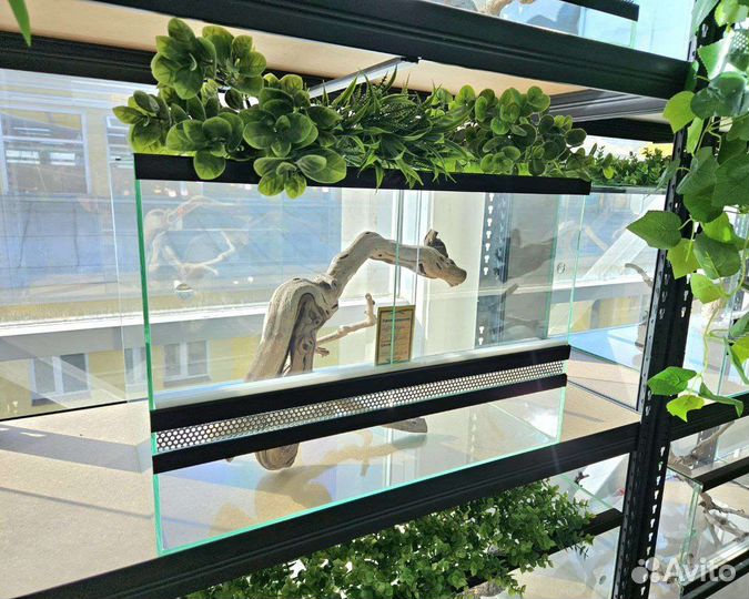 Террариум в рассрочку