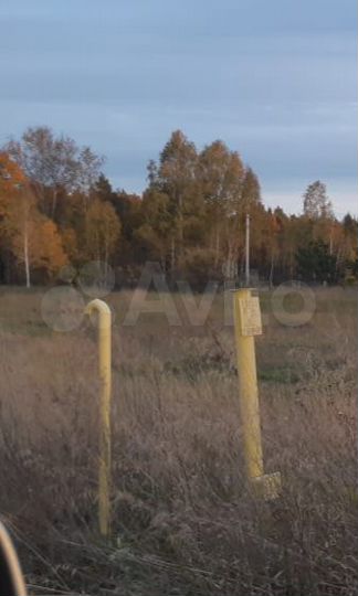 Участок 16 сот. (ИЖС)