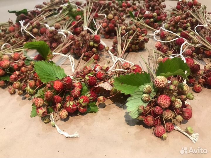 Земляника сушеная в букетиках