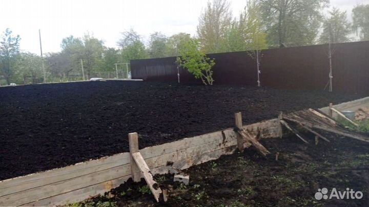 Рулонный газон. Укладка, продажа